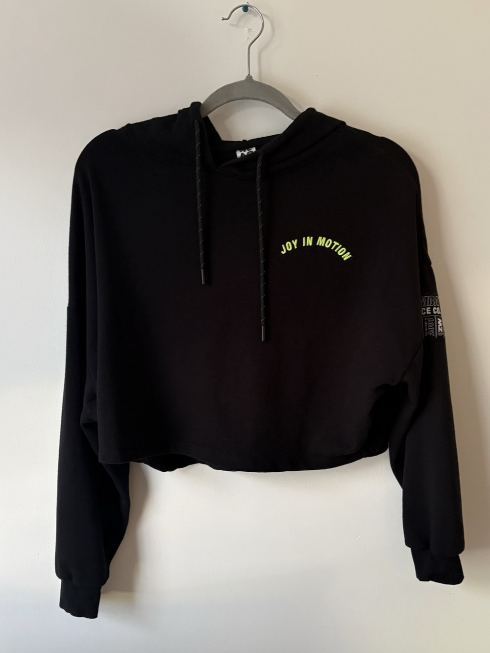 Zumba Wear Cropped Graphic Hoodie "Joy In Motion" Rainbow Back Logo